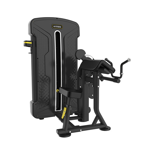 バイセプス/トライセプス