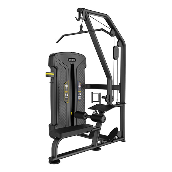 ラットプル＆ローイング